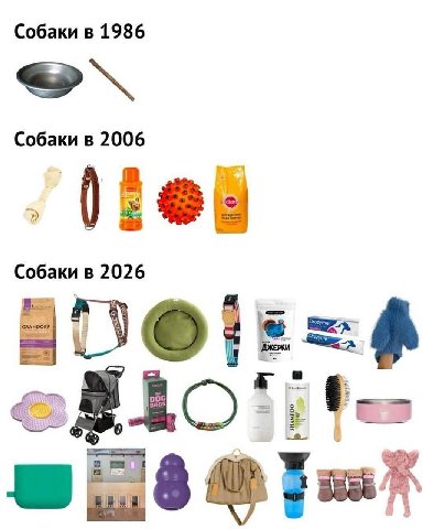Собаки в 1986 Собаки в 2006 Собаки в 2026 8 be