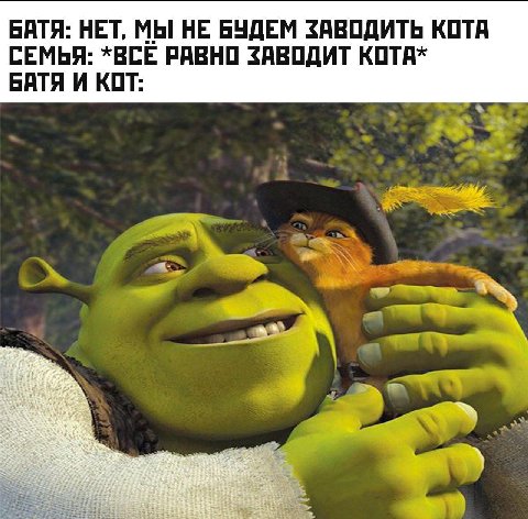 БАТЯ: НЕТ, МЫ НЕ БУДЕМ ЗАВОДИТЬ КОТА СЕМЬЯ: *ВСЕ РАВНО ЗАВОДИТ КОТА* БАТЯ И КОТ: