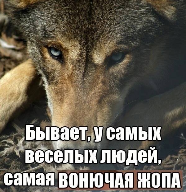 у самых веселых самая ЖОПА
