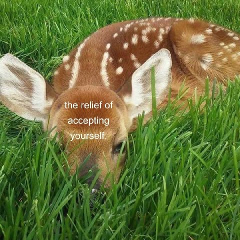 the relief of accepting yourself.