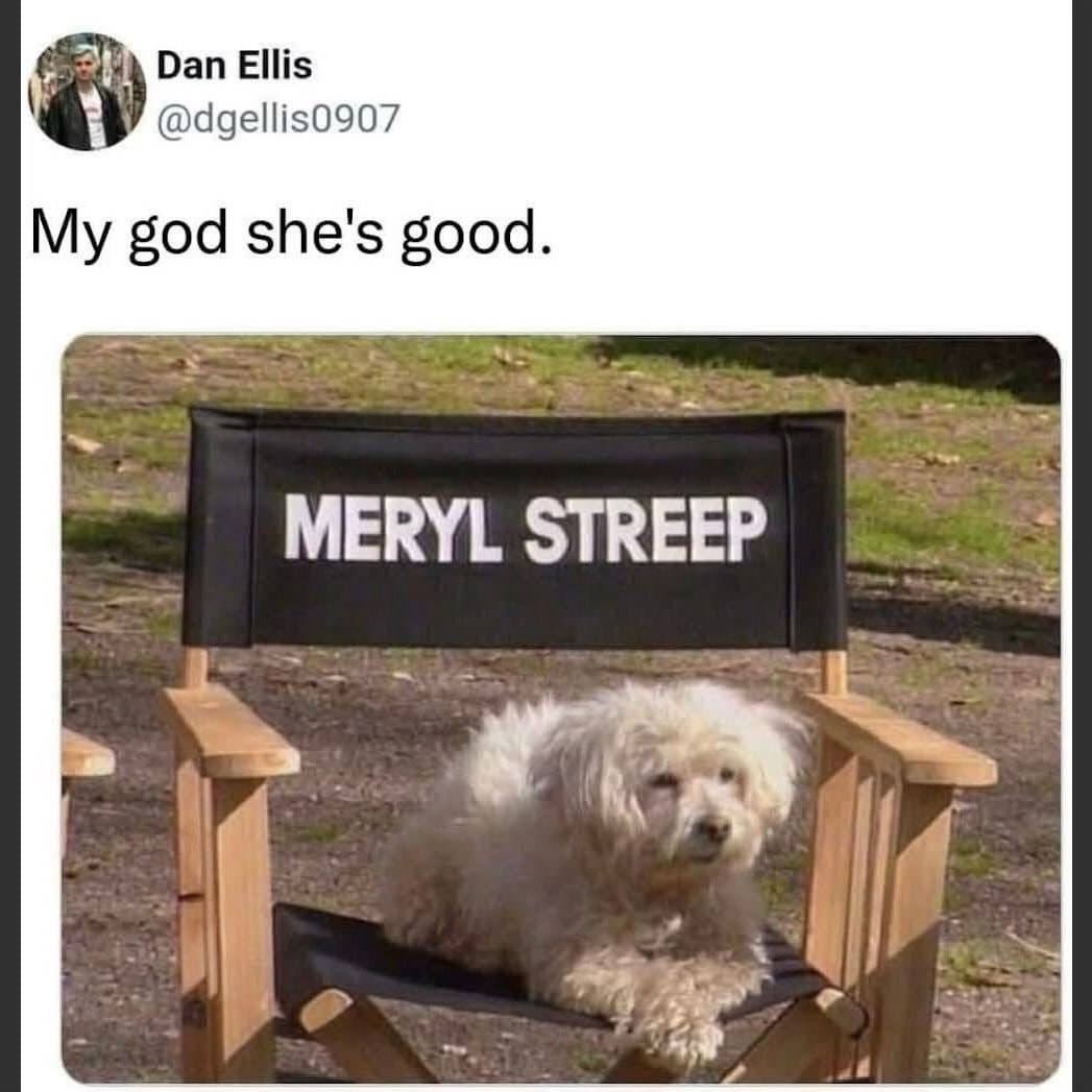 Dan Ellis @dgellis0907 My god she's good. MERYL STREEP