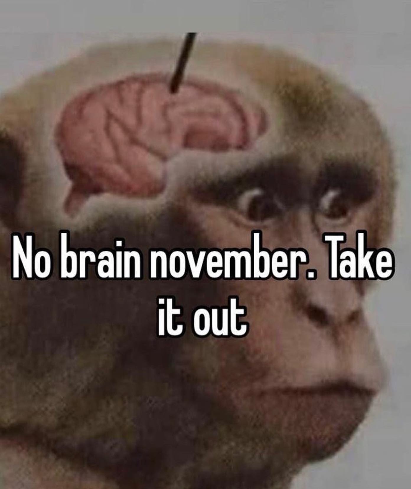 No brain november. Take it out