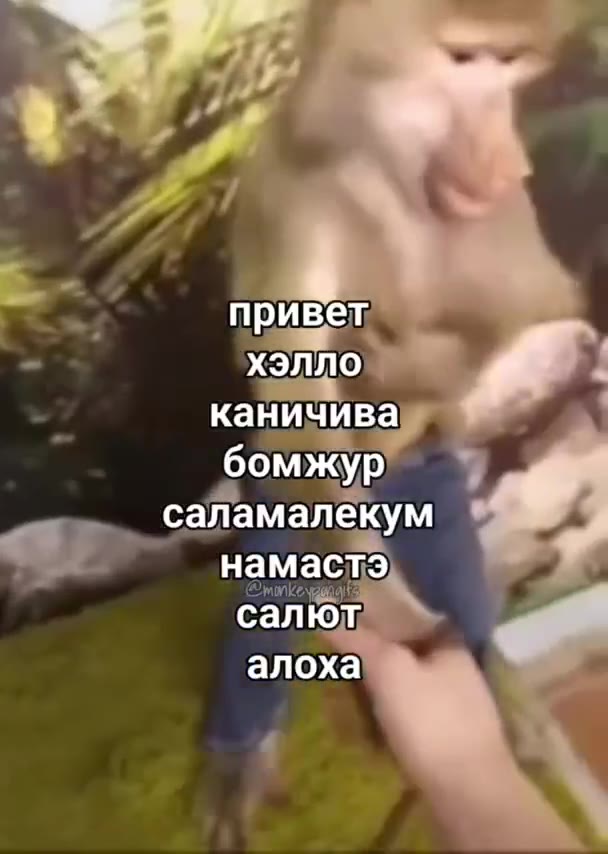 сайамалекум ЧР” намасть каничива =, ‚Саламалекум ad Ja саламалекуй