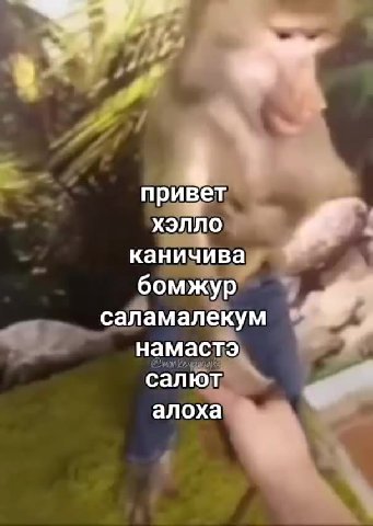 сайамалекум ЧР” намасть каничива =, ‚Саламалекум ad Ja саламалекуй