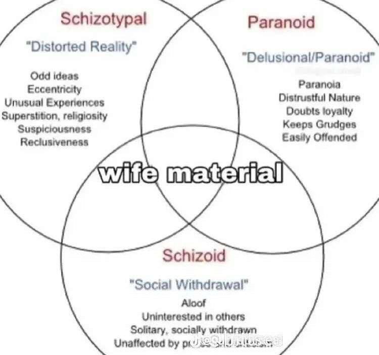 Schizotypal Paranoid Distorted Reality Odd ideas Paranoia Eccentricity Distrustful Nature Unusual Experiences Doubts loyalty Superstition, religiosity Keeps Grudges Suspiciousness Offended Reclusivene