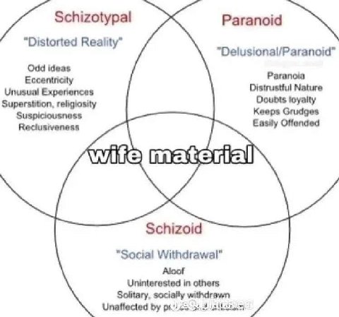Schizotypal Paranoid Distorted Reality Odd ideas Paranoia Eccentricity Distrustful Nature Unusual Experiences Doubts loyalty Superstition, religiosity Keeps Grudges Suspiciousness Offended Reclusivene
