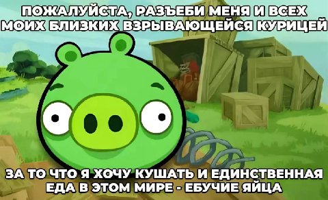 ПОЖАЛУЙСТА, РАЗЪЕБИ МЕНЯЙ БЛИЗКИХ КУРИЩЕЙ о ЗА ТО ЧТО Я ХОЧУ КУШАТЬ И ЕДИНСТВЕННАЯ ЕДА В ЭТОМ МИРЕ ЕБУЧИЕ ЯИЦА