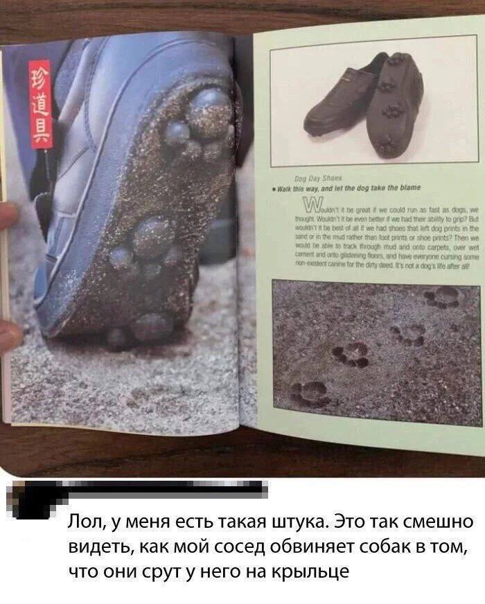 Gog Oay Wath this way, the dog take the biame Then we Girty cee у меня есть такая штука. Это так смешно видеть, как мой сосед обвиняет собак в TOM, что они сруту него на крыльце