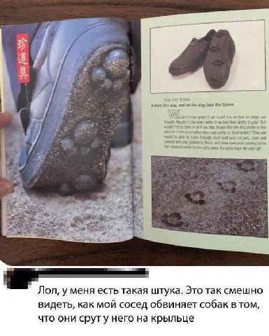 Gog Oay Wath this way, the dog take the biame Then we Girty cee у меня есть такая штука. Это так смешно видеть, как мой сосед обвиняет собак в TOM, что они сруту него на крыльце