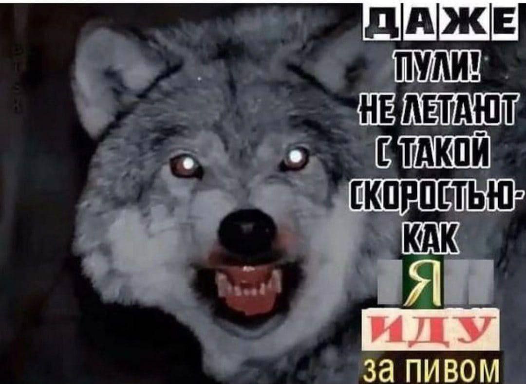 ДАЖЕ за пивом