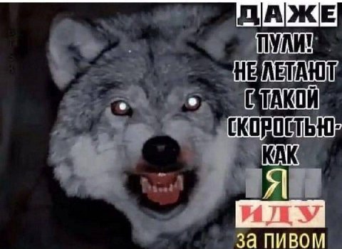 ДАЖЕ за пивом