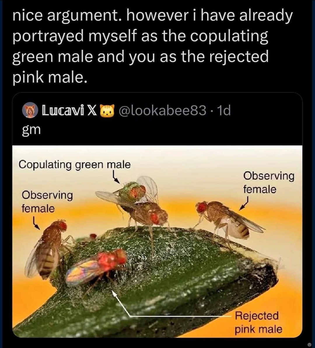 nice argument. however i have already portrayed myself as the copulating green male and you as the rejected pink male. Lucavi Copulating green male Observing Observing female female Rejected с pink ma
