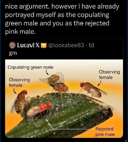 nice argument. however i have already portrayed myself as the copulating green male and you as the rejected pink male. Lucavi Copulating green male Observing Observing female female Rejected с pink ma
