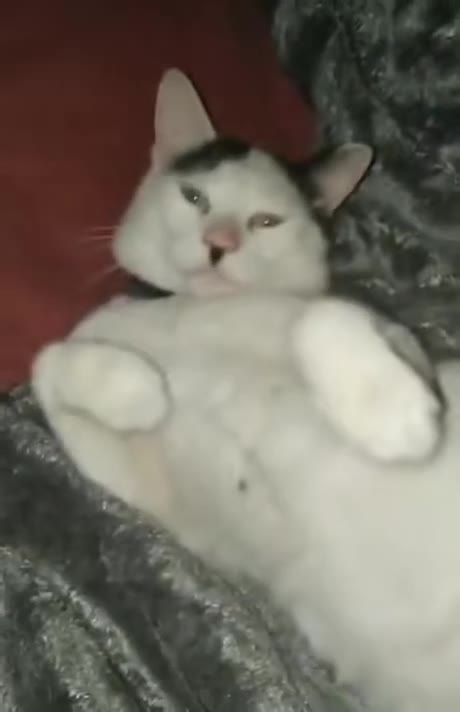 8 a4