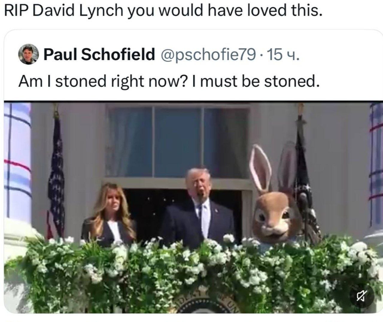 RIP David Lynch you would have loved this. Paul Schofield @pschofie79 15 stoned right now? must be stoned. 3