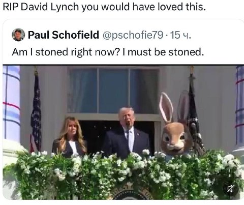RIP David Lynch you would have loved this. Paul Schofield @pschofie79 15 stoned right now? must be stoned. 3