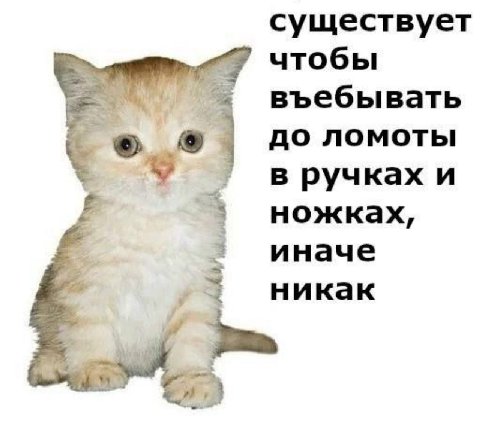 существует чтобы въебывать до ломоты в ручках и ножках, иначе никак