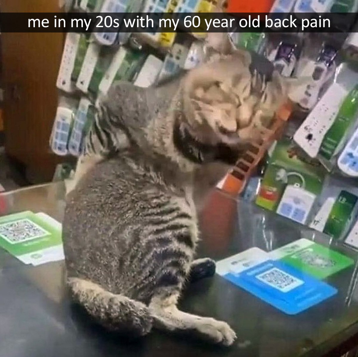 in with my 60 year old back рат 4 4
