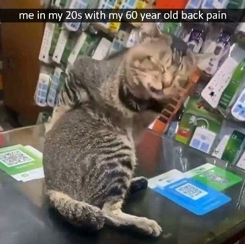in with my 60 year old back рат 4 4