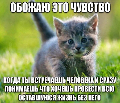 ОБОЖАЮ ЭТО ЧУВСТВО КОГДАТЫ ВСТРЕЧАЕШЬ ЧЕЛОВЕНАИ ПОНИМАЕШЬ ЧТО ХОЧЕШЬ ПРОВЕСТИ ВСЮ `ОСТАВШУЮСЯ ЖИЗНЬ БЕЗ НЕГО