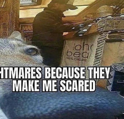 BECAUSE MAKE ME SCARED
