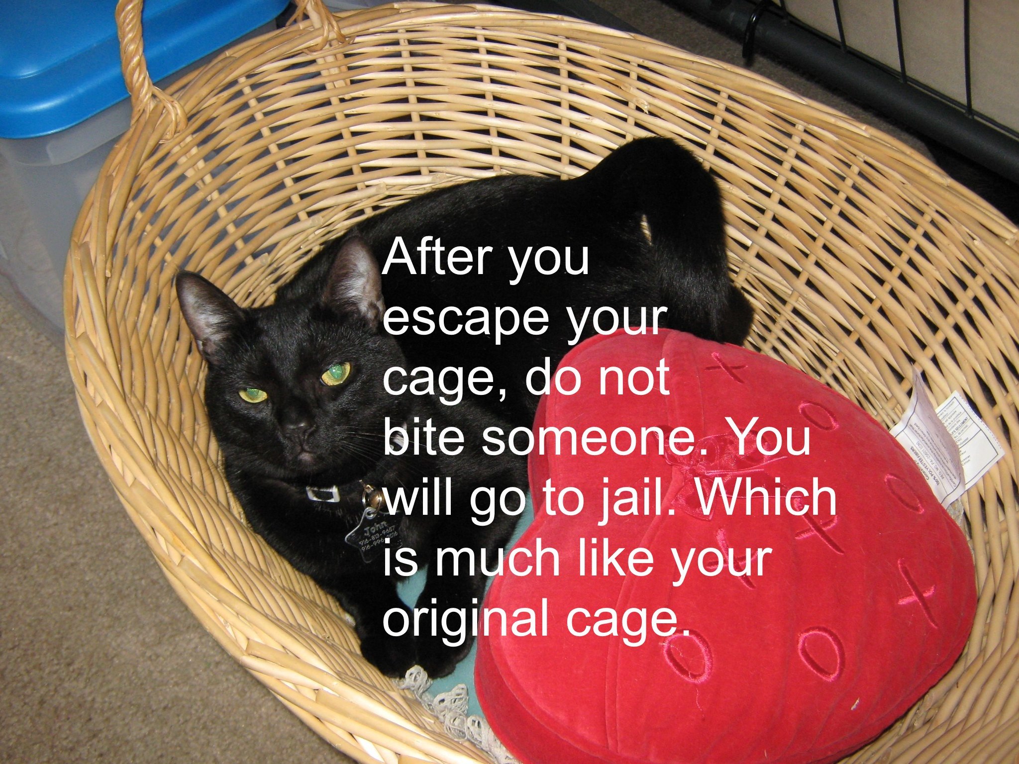 7 After you your саде, not “А someone. You to jail. Which a is much like your original саде.