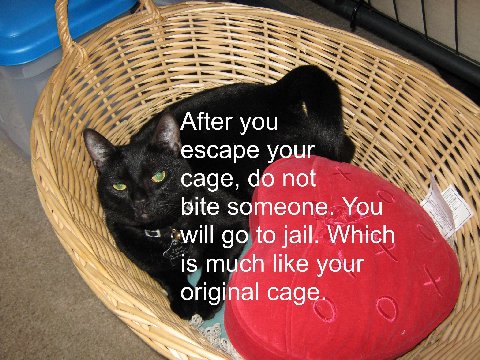 7 After you your саде, not “А someone. You to jail. Which a is much like your original саде.