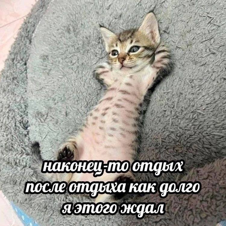 hae 4 2 arm we Ate как долго Я 4