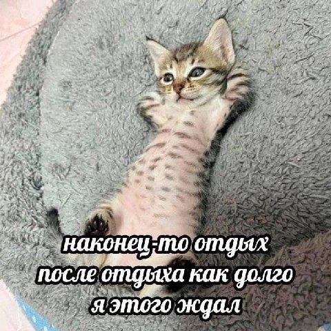 hae 4 2 arm we Ate как долго Я 4