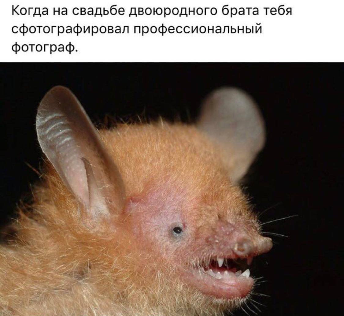 Когда на свадьбе двоюродного брата тебя сфотографировал профессиональный фотограф.