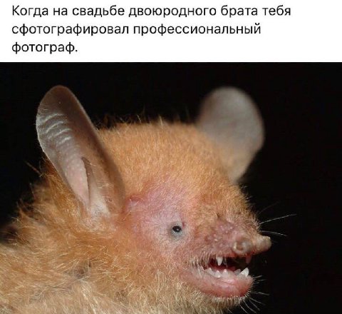 Когда на свадьбе двоюродного брата тебя сфотографировал профессиональный фотограф.