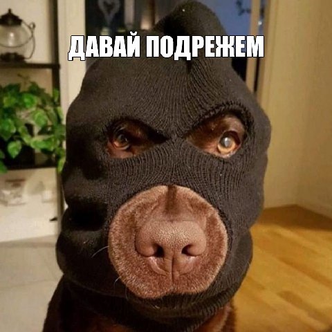 ДАВАЙ ПОДРЕЖЕМ