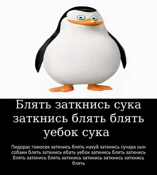 Блять заткнись сука заткнись блять блять уебок сука Пидорас гомосек заткнись блять нахуй заткнись сучара сын собаки блять заткнись ебать уебок заткнись блять заткнись блять заткнись блять заткнись зат