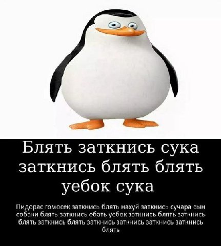 Блять заткнись сука заткнись блять блять уебок сука Пидорас гомосек заткнись блять нахуй заткнись сучара сын собаки блять заткнись ебать уебок заткнись блять заткнись блять заткнись блять заткнись зат