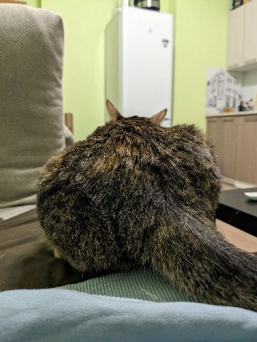🔞🔞🔞