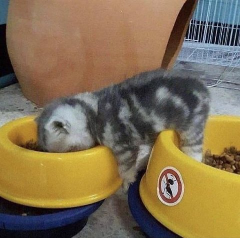 у