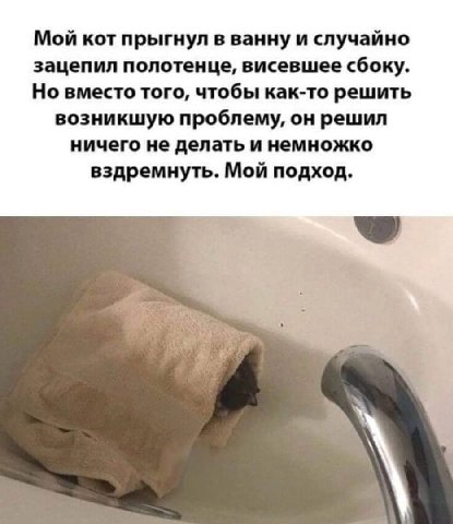 Мой кот прыгнул в ванну и случайно зацепил полотенце, висевшее сбоку. Но вместо того, чтобы как-то решить возникшую проблему, он решил ничего не делать и немножко вздремнуть. Мой подход.