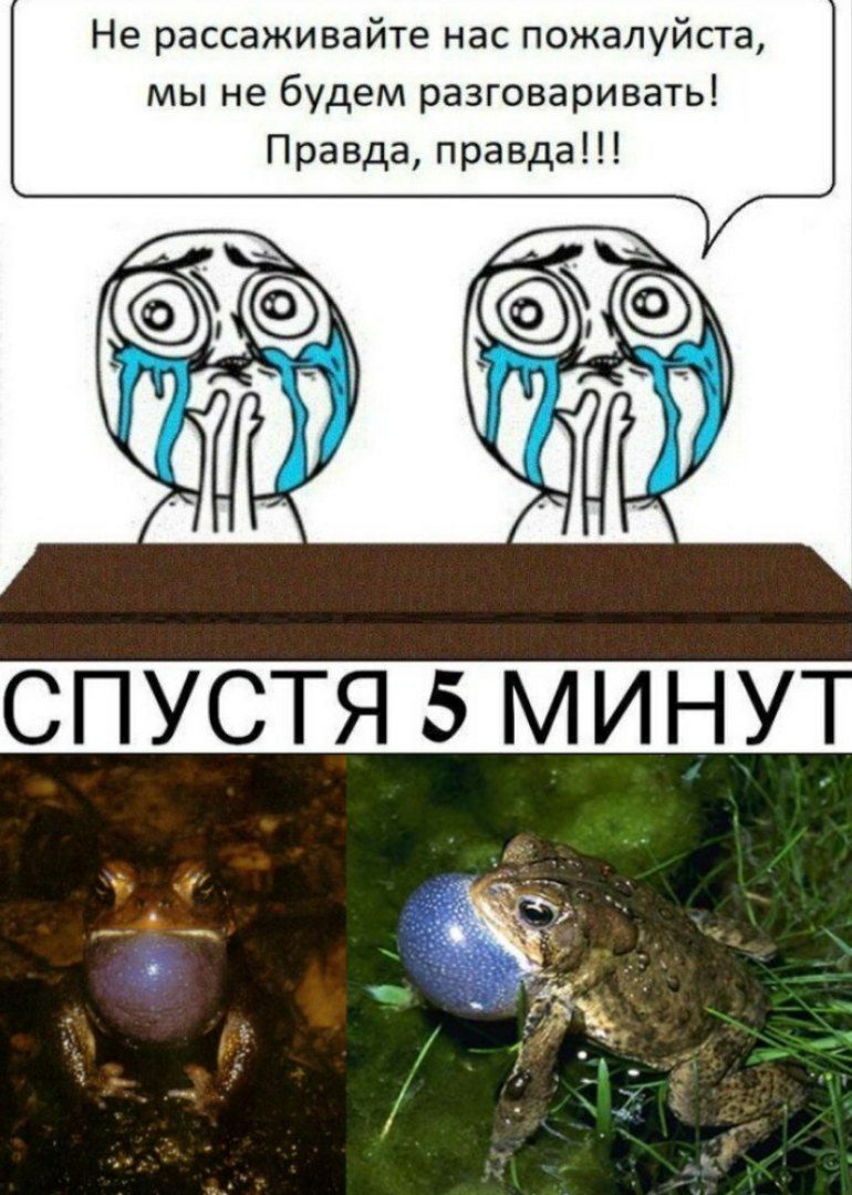 Не рассаживайте нас пожалуйста, мы не будем разговаривать! Правда, правда!!! СПУСТЯ 5