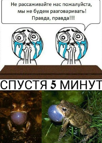 Не рассаживайте нас пожалуйста, мы не будем разговаривать! Правда, правда!!! СПУСТЯ 5