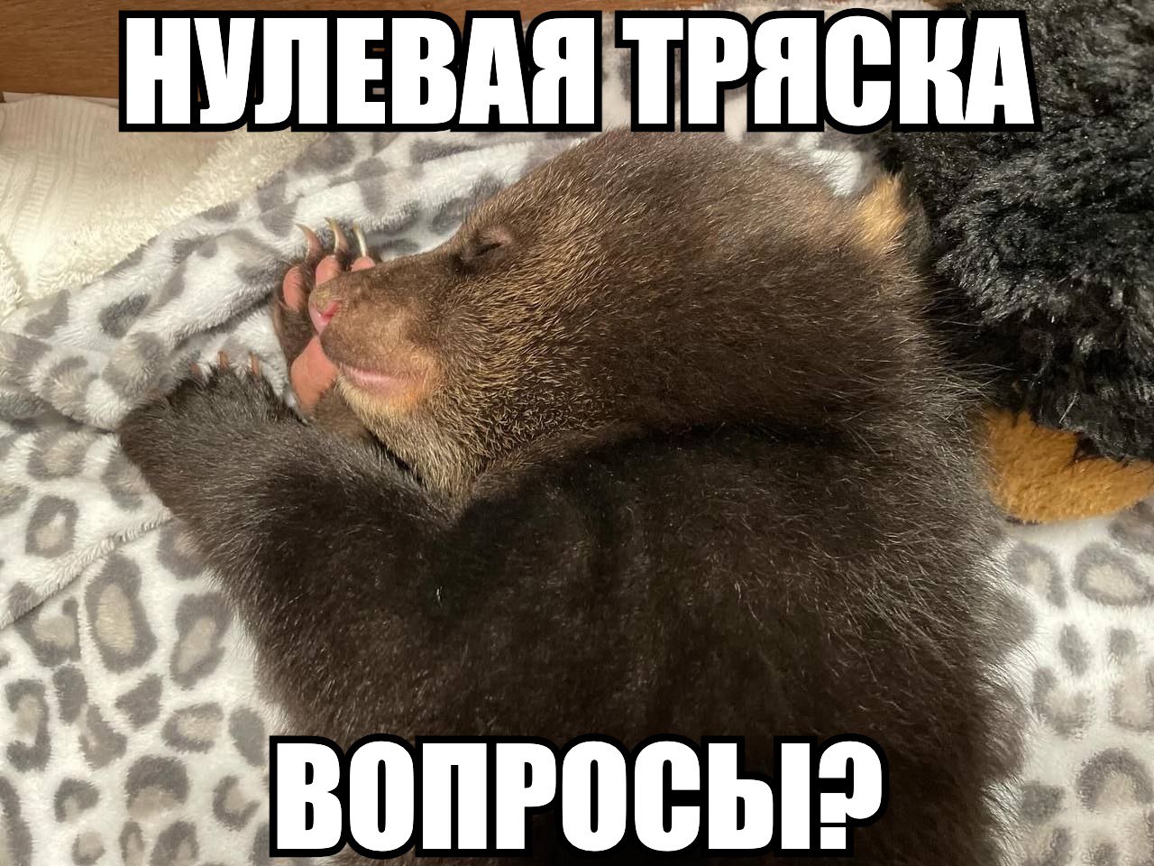 НУЛЕВАЯ TPA СКА ВОПРОСЫ?
