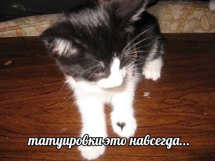 набсегда