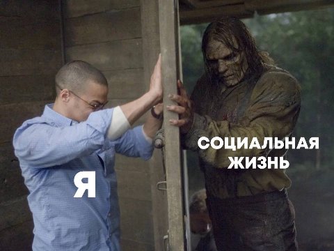 СОЦИАЛЬНАЯ ЖИЗНЬ
