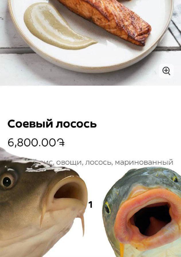 iow Соевый лосось 6,800.004 овощи, лосось, маринованный 2 1