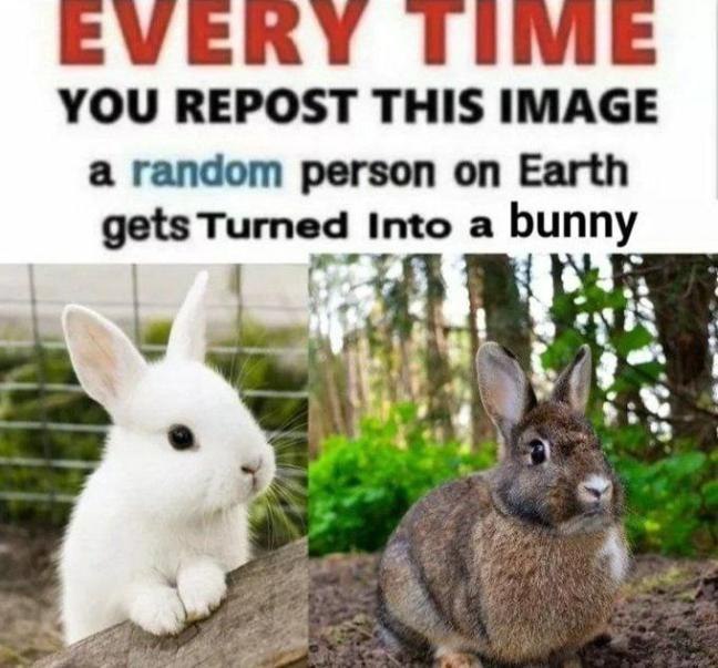 YOU REPOST THIS IMAGE а random person on Earth gets Turned Into a bunny "3