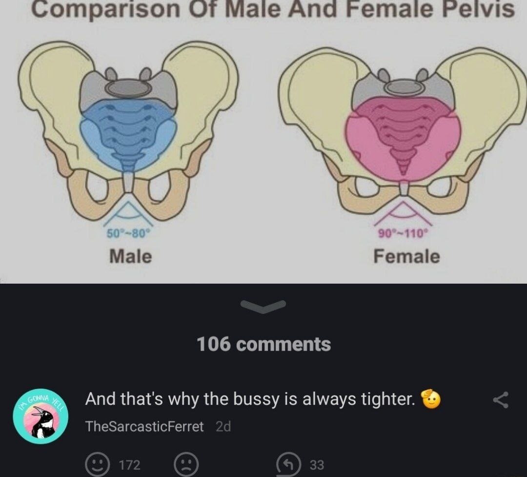 omparison От Male And Female Male 106 comments And that's why the bussy is always tighter. TheSarcasticFerret