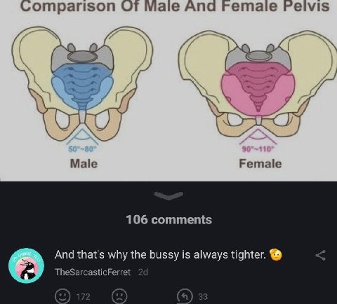 omparison От Male And Female Male 106 comments And that's why the bussy is always tighter. TheSarcasticFerret