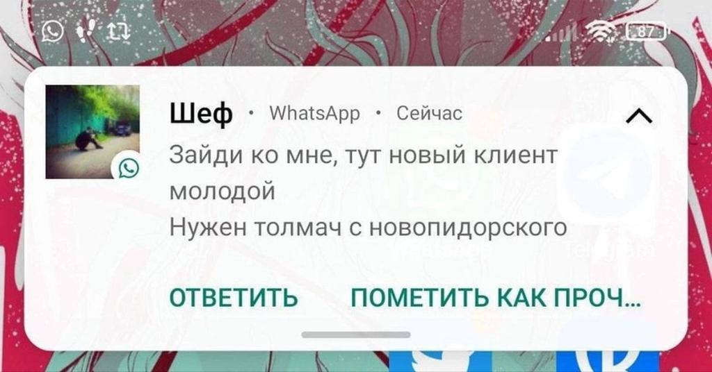 у Шеф WhatsApp Сейчас Зайди мне, тут новый клиент молодой Нужен толмач с новопидорского ОТВЕТИТЬ ПОМЕТИТЬ КАК ПРОЧ...