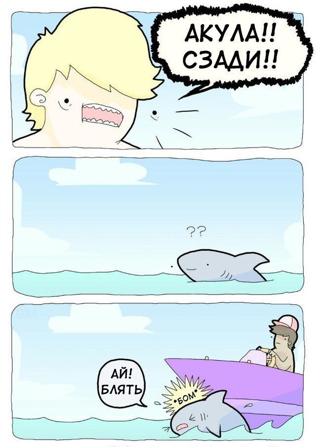 СЗАДИП 0