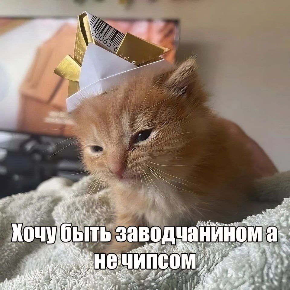 заводчанином as. у быт 4 44,