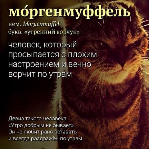 мбргенмуффель нем. букв. «утренний ворчун» человек, который просыпается с плохим настроением и вечно 3 ворчит по утрам Девиз такого человека: «Утро добрым не бывает». Он не любит рано вставать и всегд